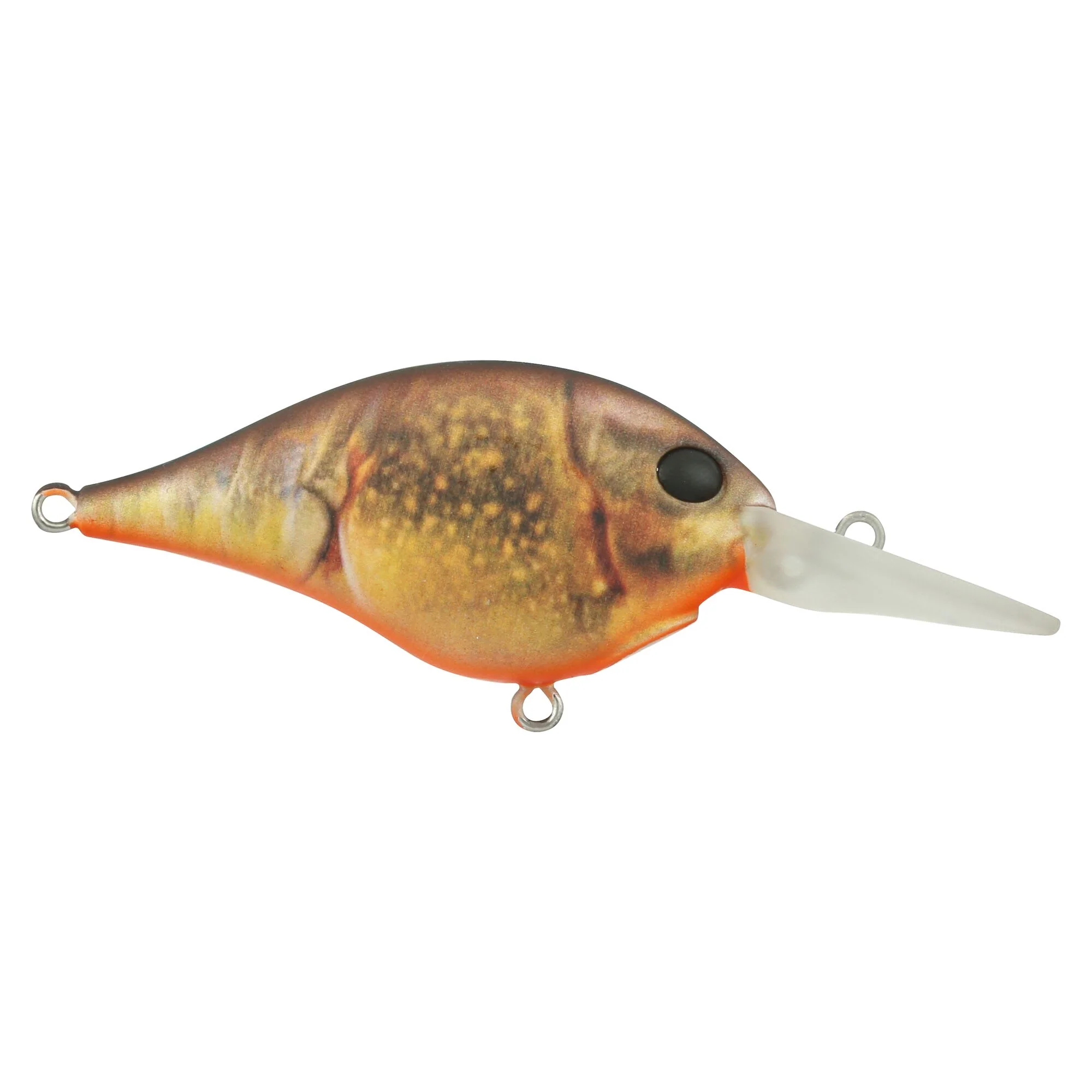 Berkley Dime - Image 110