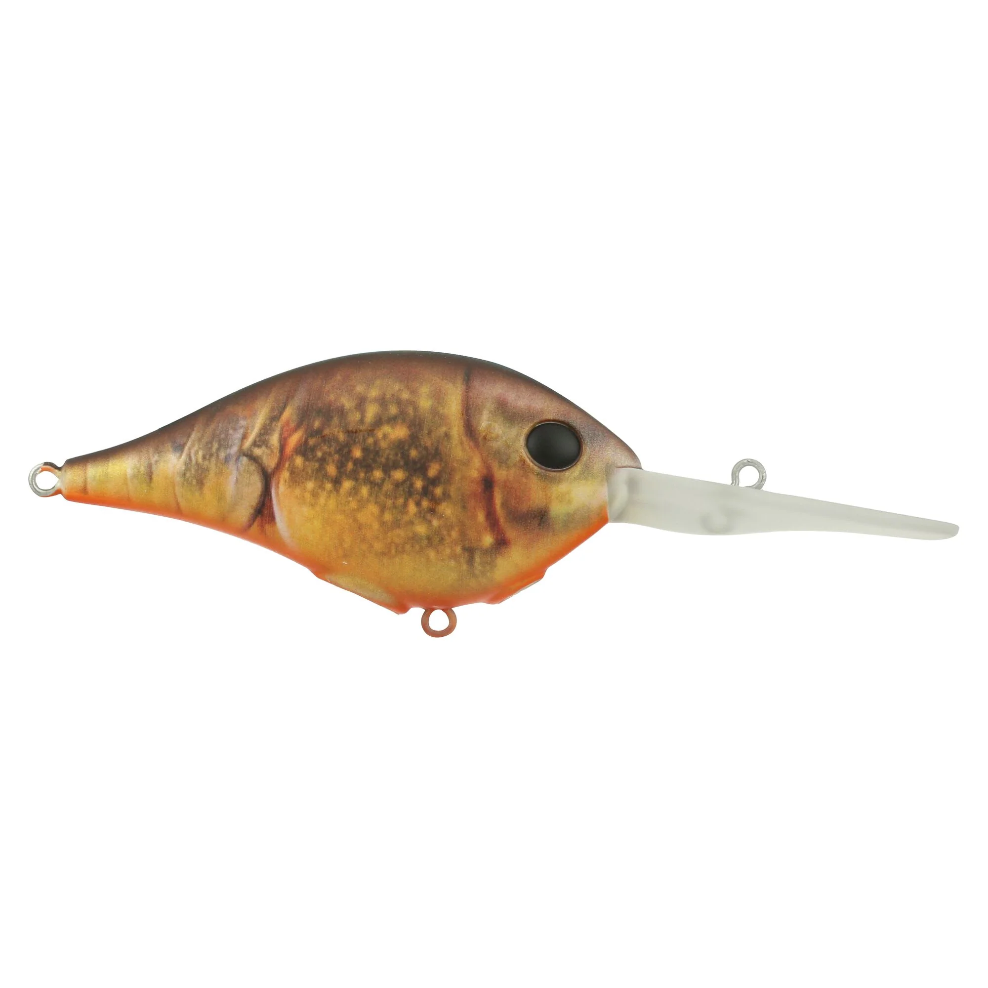 Berkley Dime - Image 150