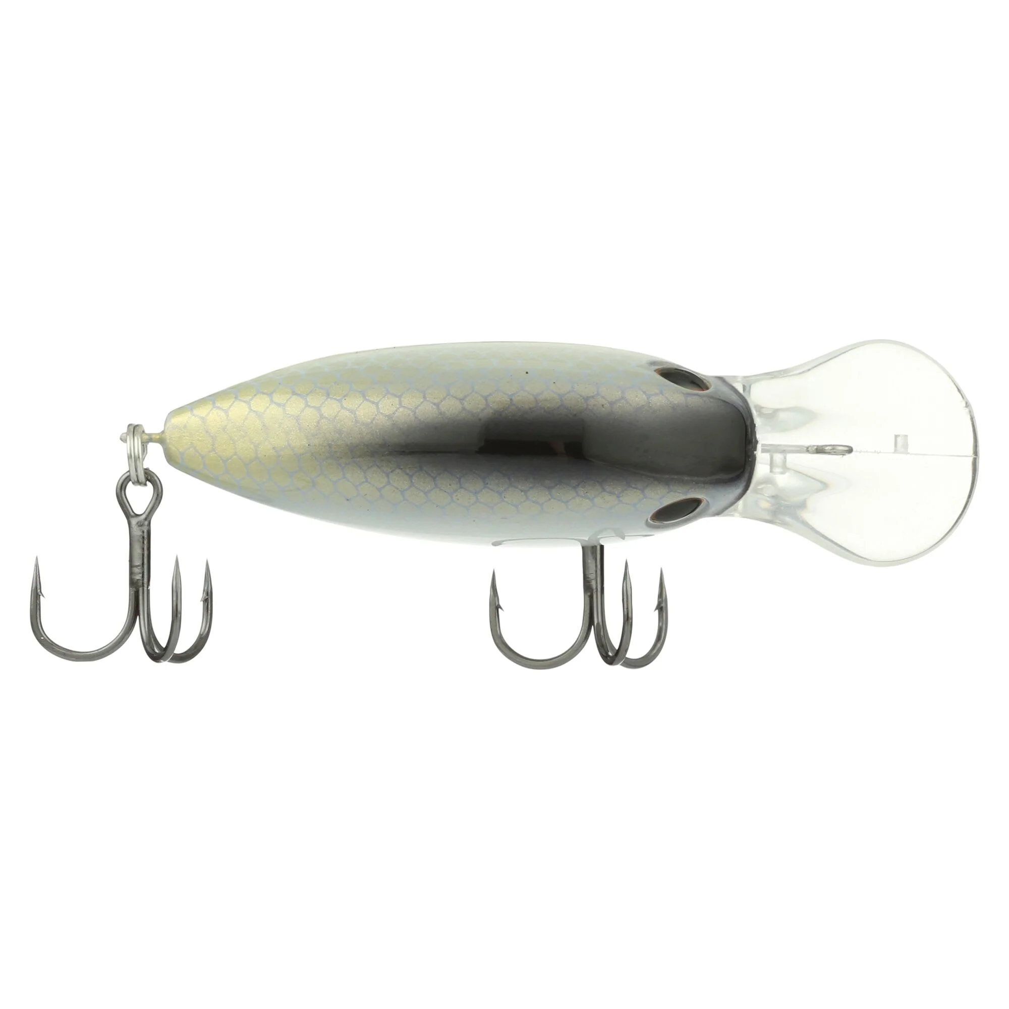 Berkley Dime - Image 179