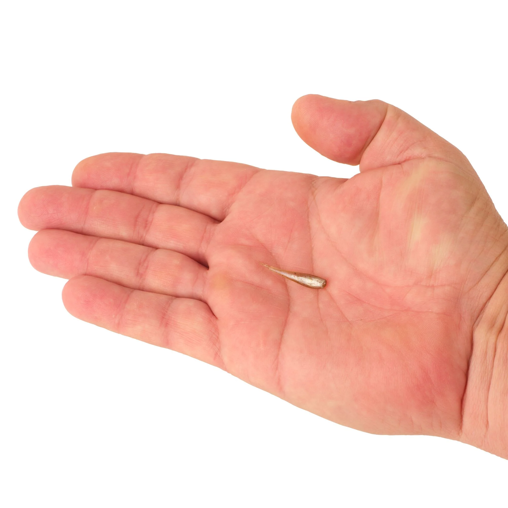Berkley PowerBait® Minnow - Image 32