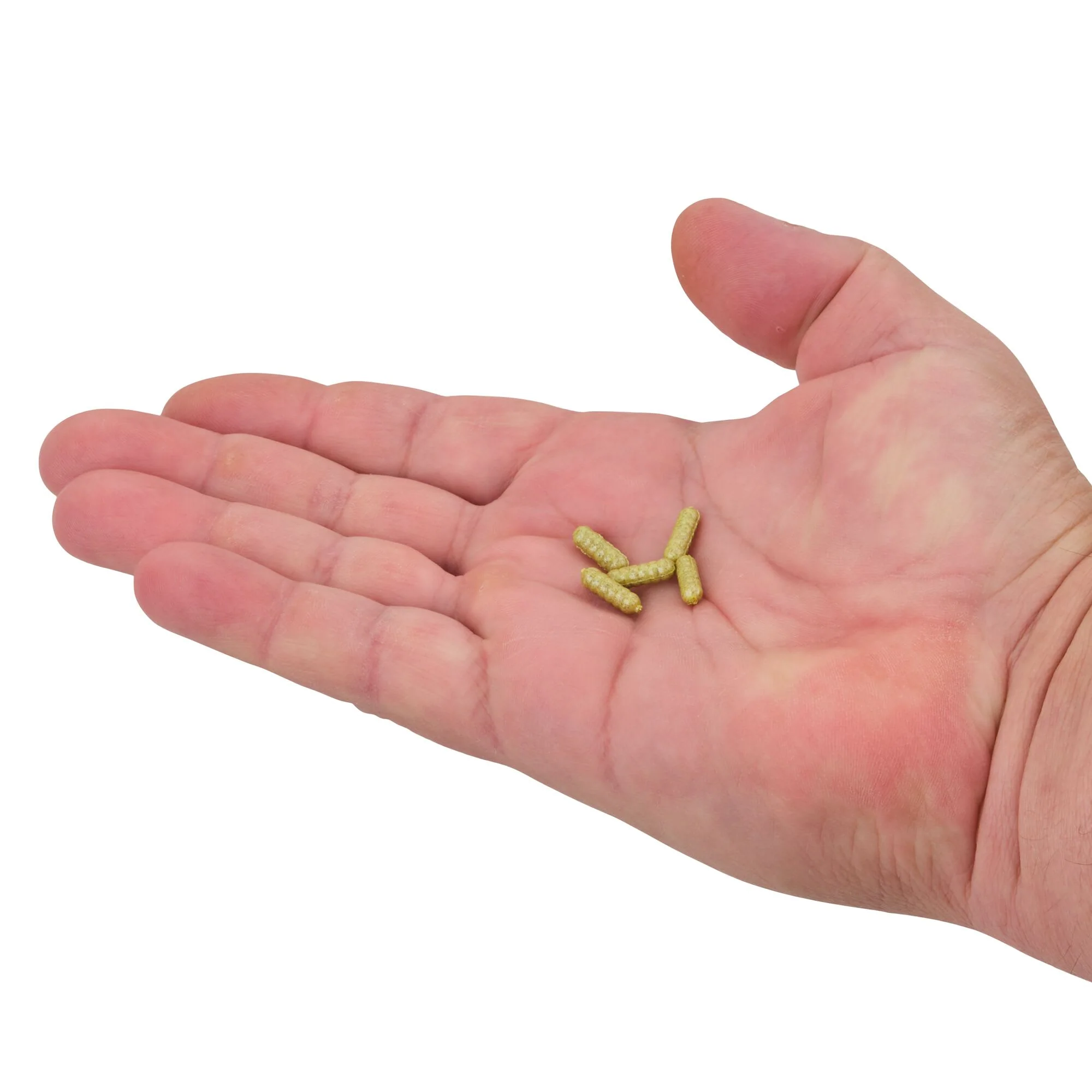 Berkley PowerBait® Power Wigglers® - Image 11