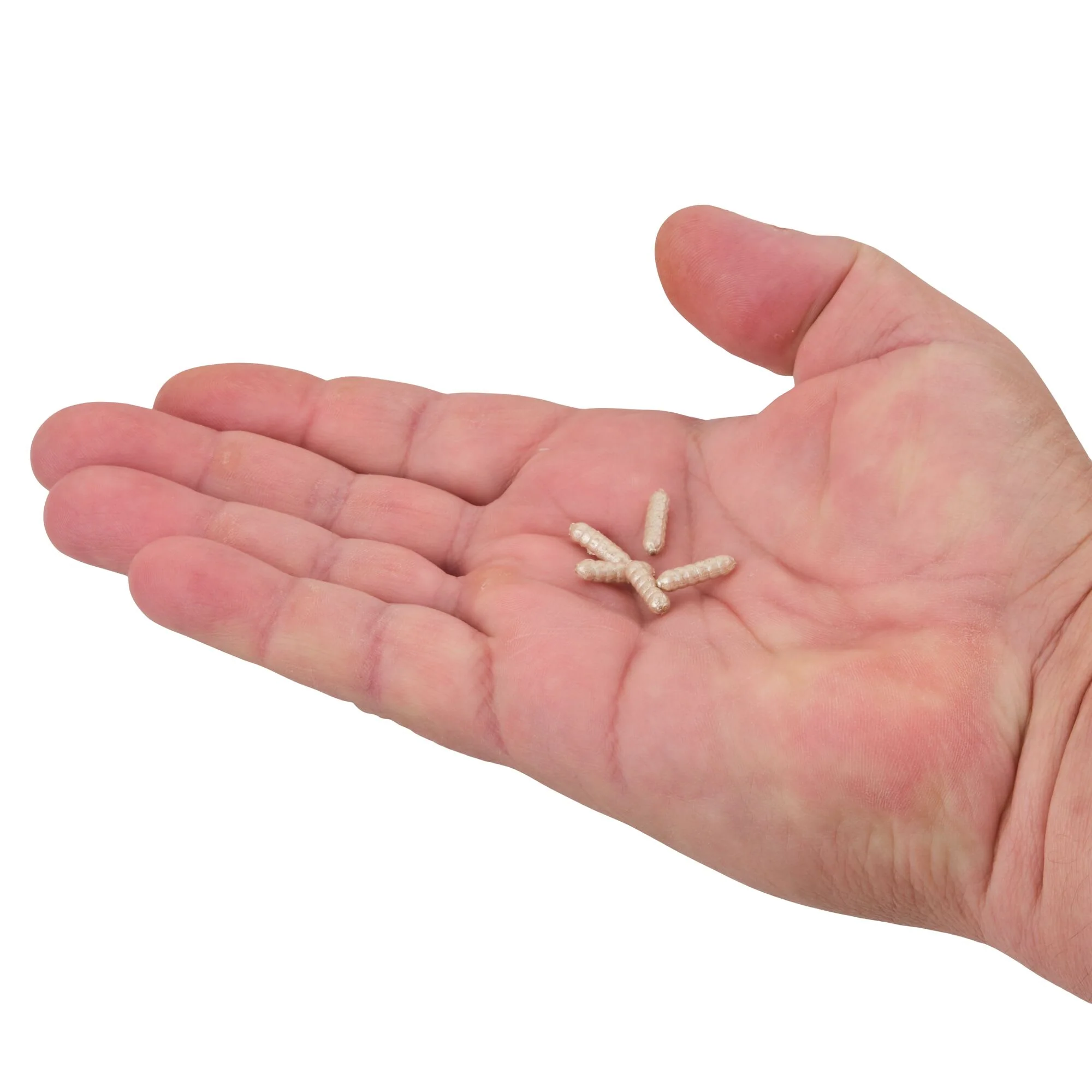 Berkley PowerBait® Power Wigglers® - Image 14