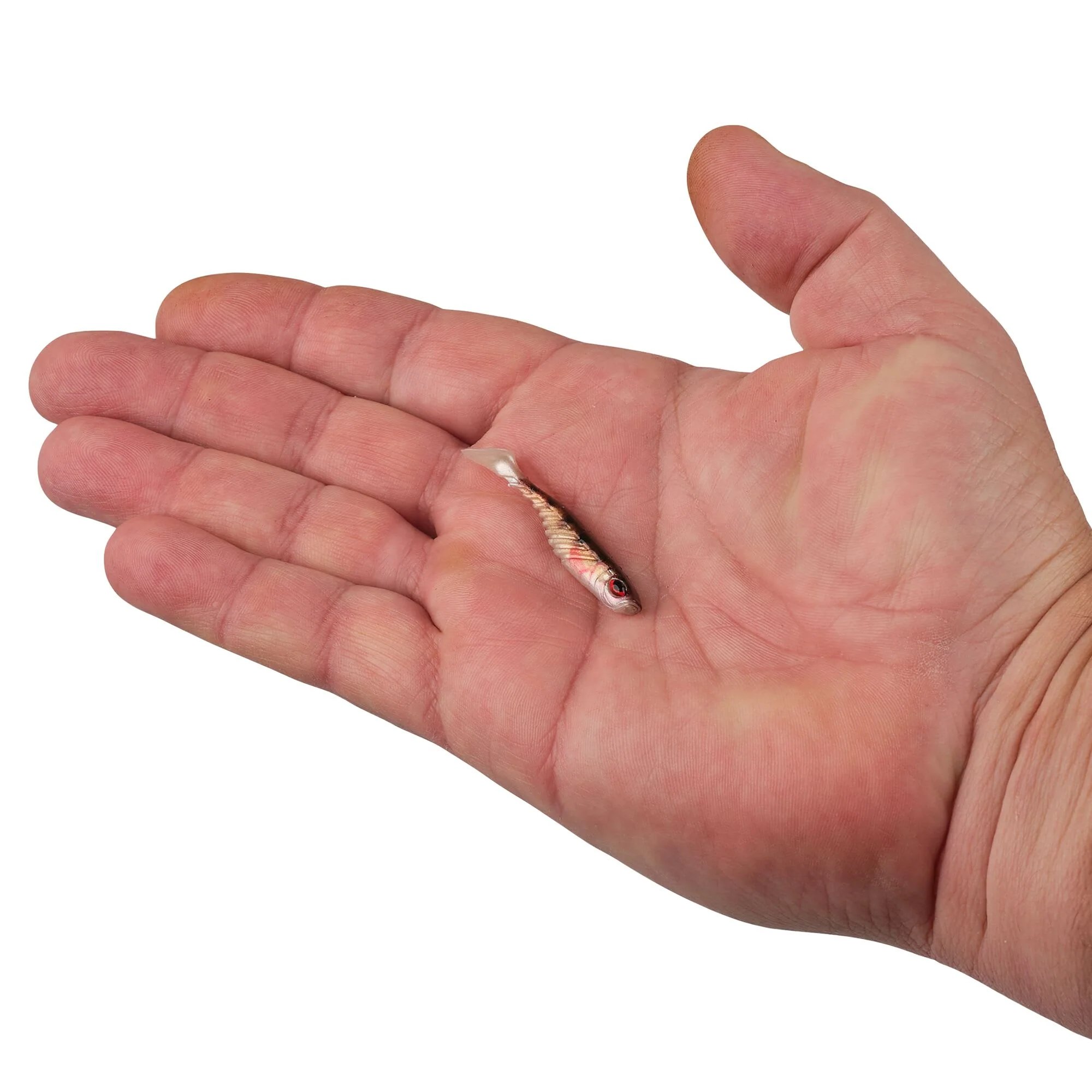 Berkley PowerBait® Ripple Shad - Image 38
