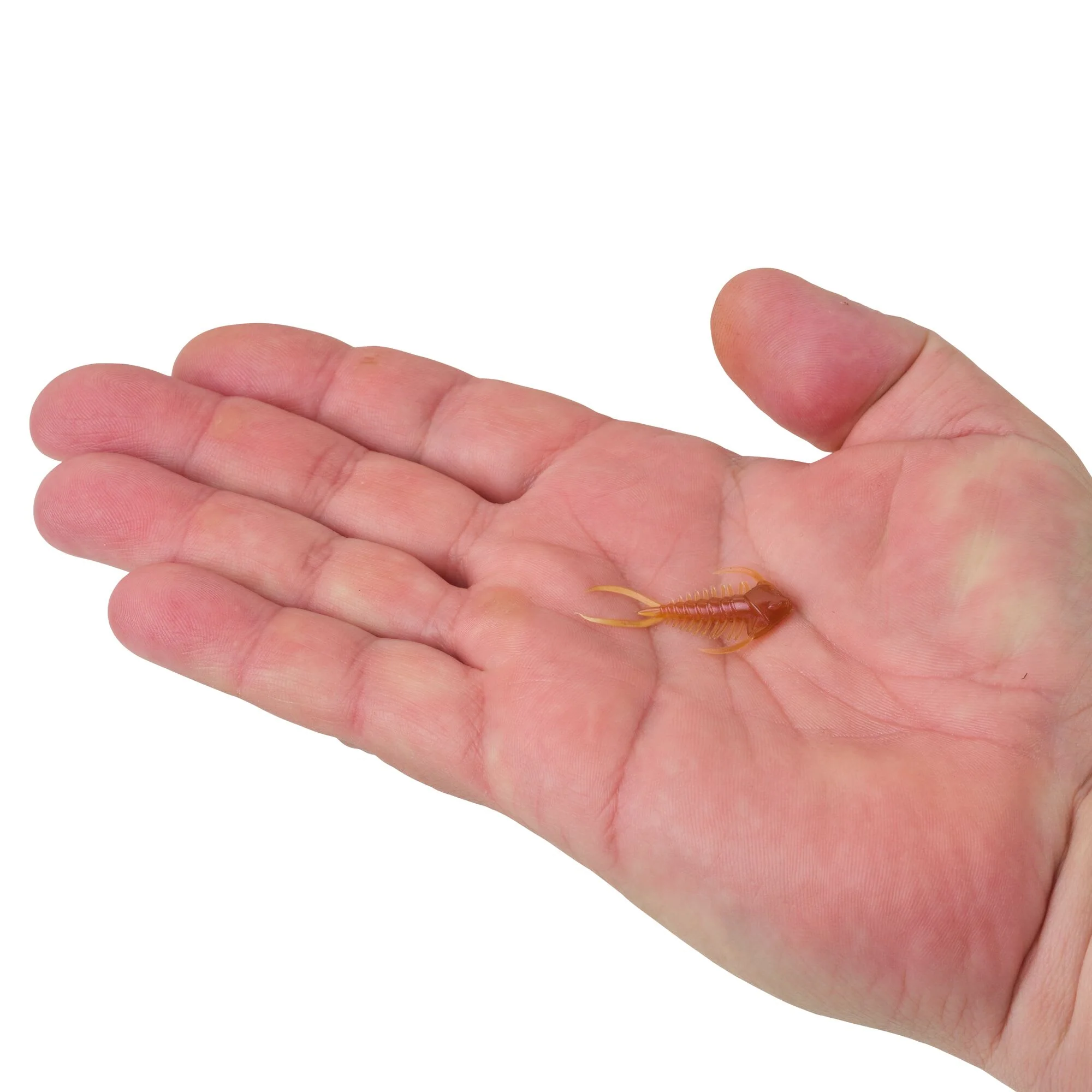 Berkley PowerBait® Trilobite - Image 13