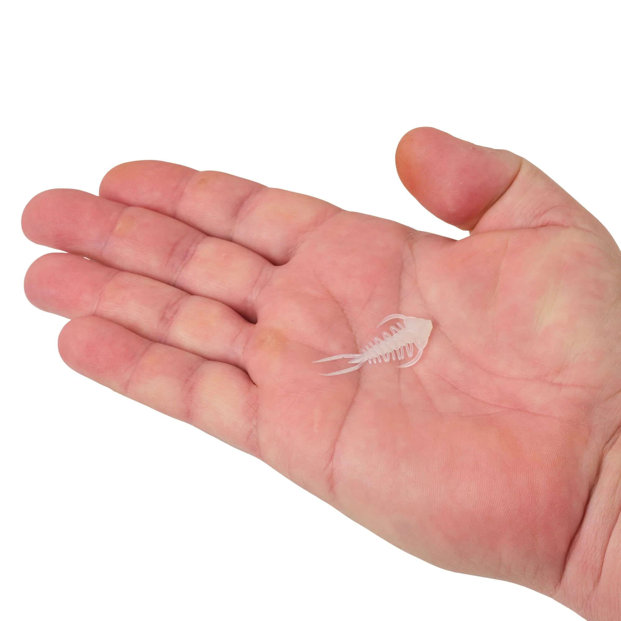 Berkley PowerBait® Trilobite - Image 14