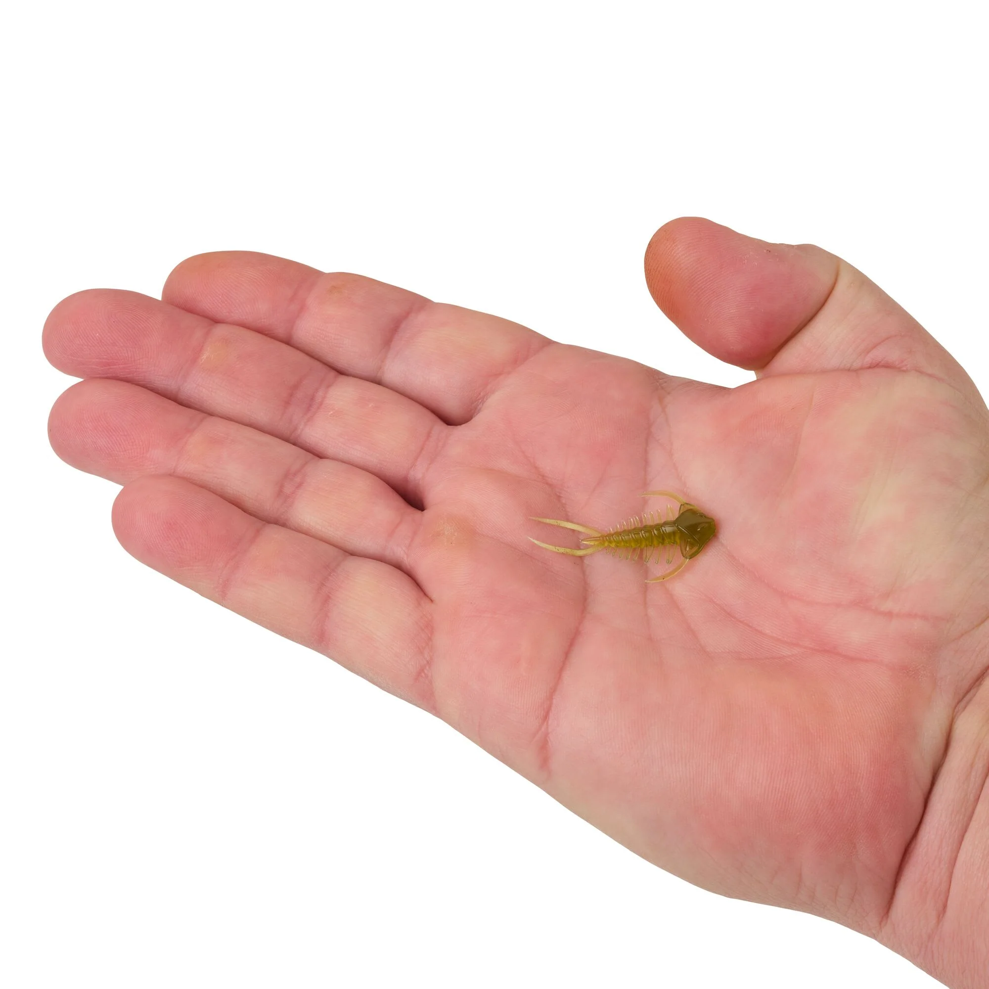 Berkley PowerBait® Trilobite - Image 15