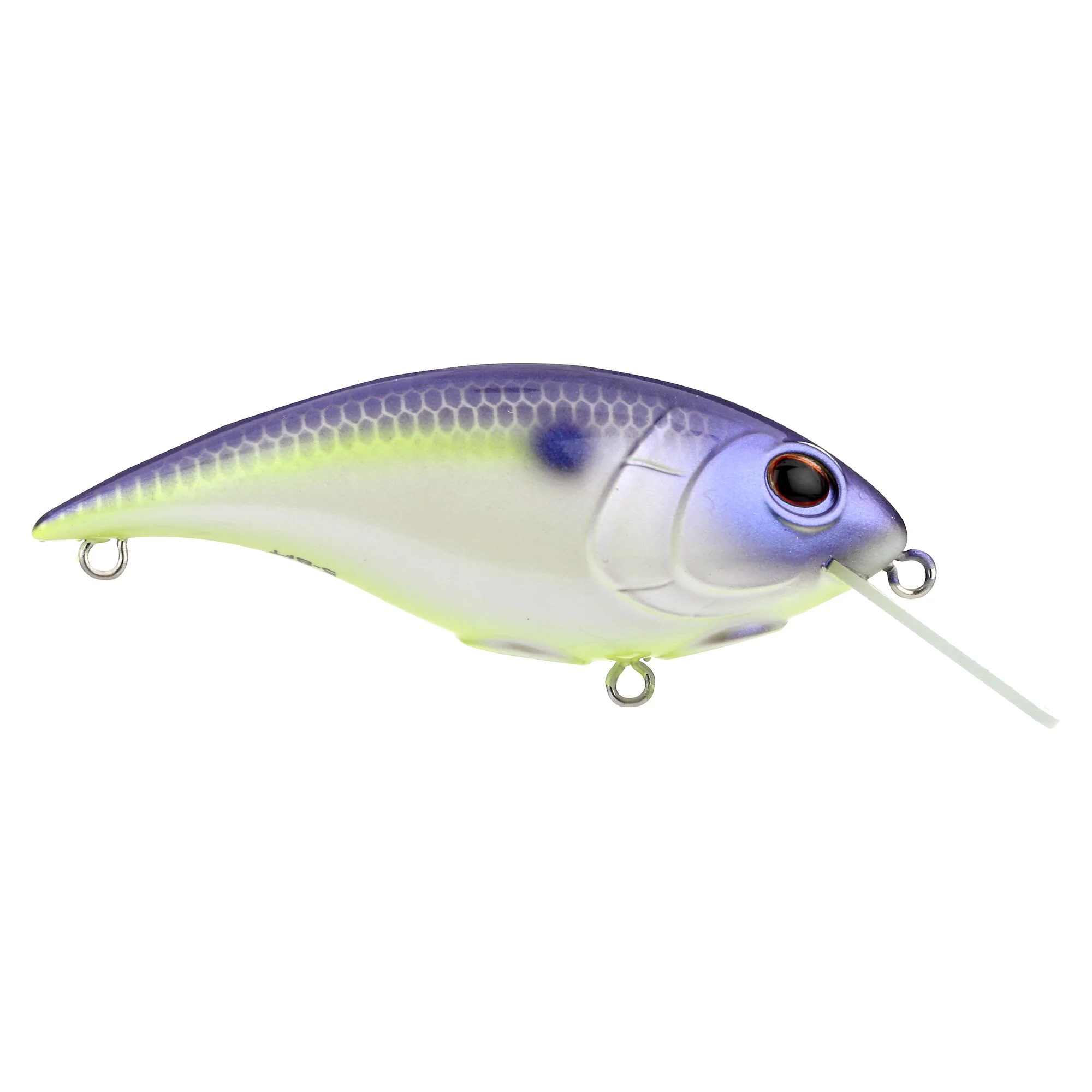 Berkley Shallow Money Badger - Image 105