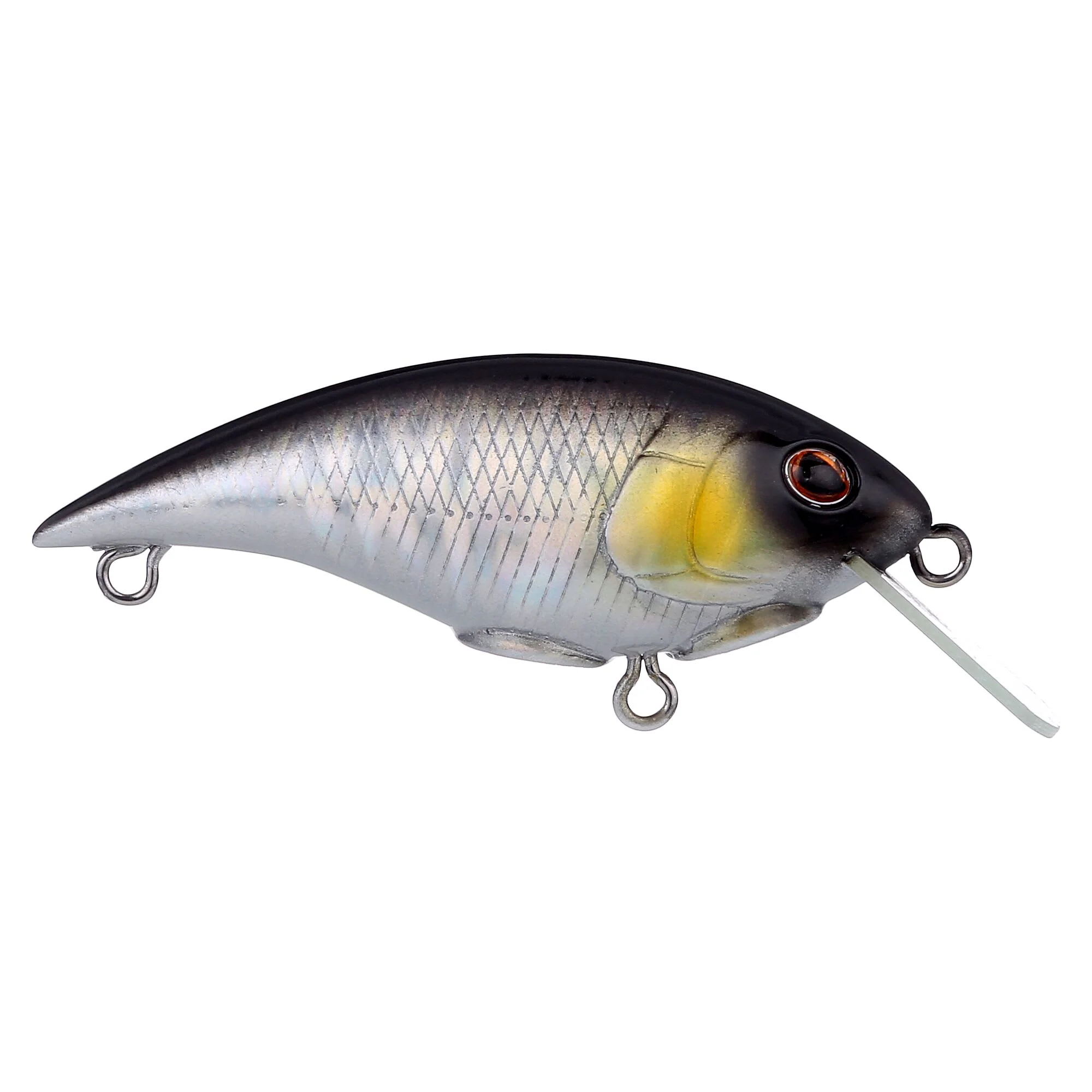 Berkley Shallow Money Badger - Image 112