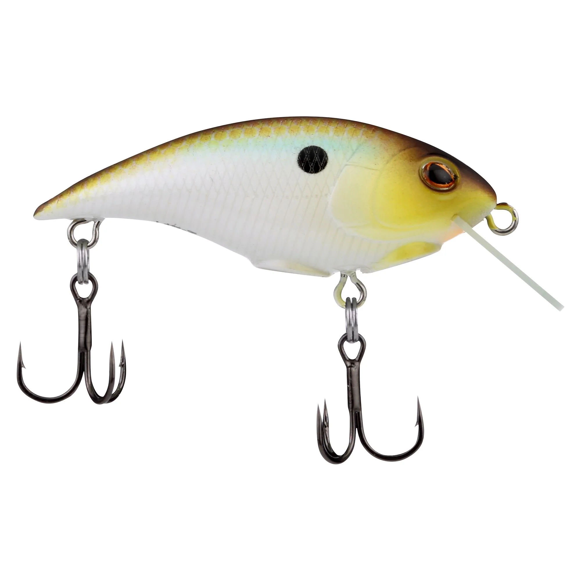 Berkley Shallow Money Badger - Image 130