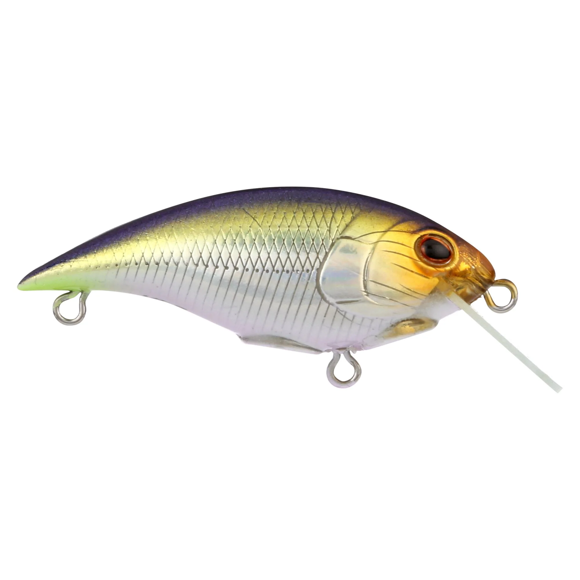 Berkley Shallow Money Badger - Image 14