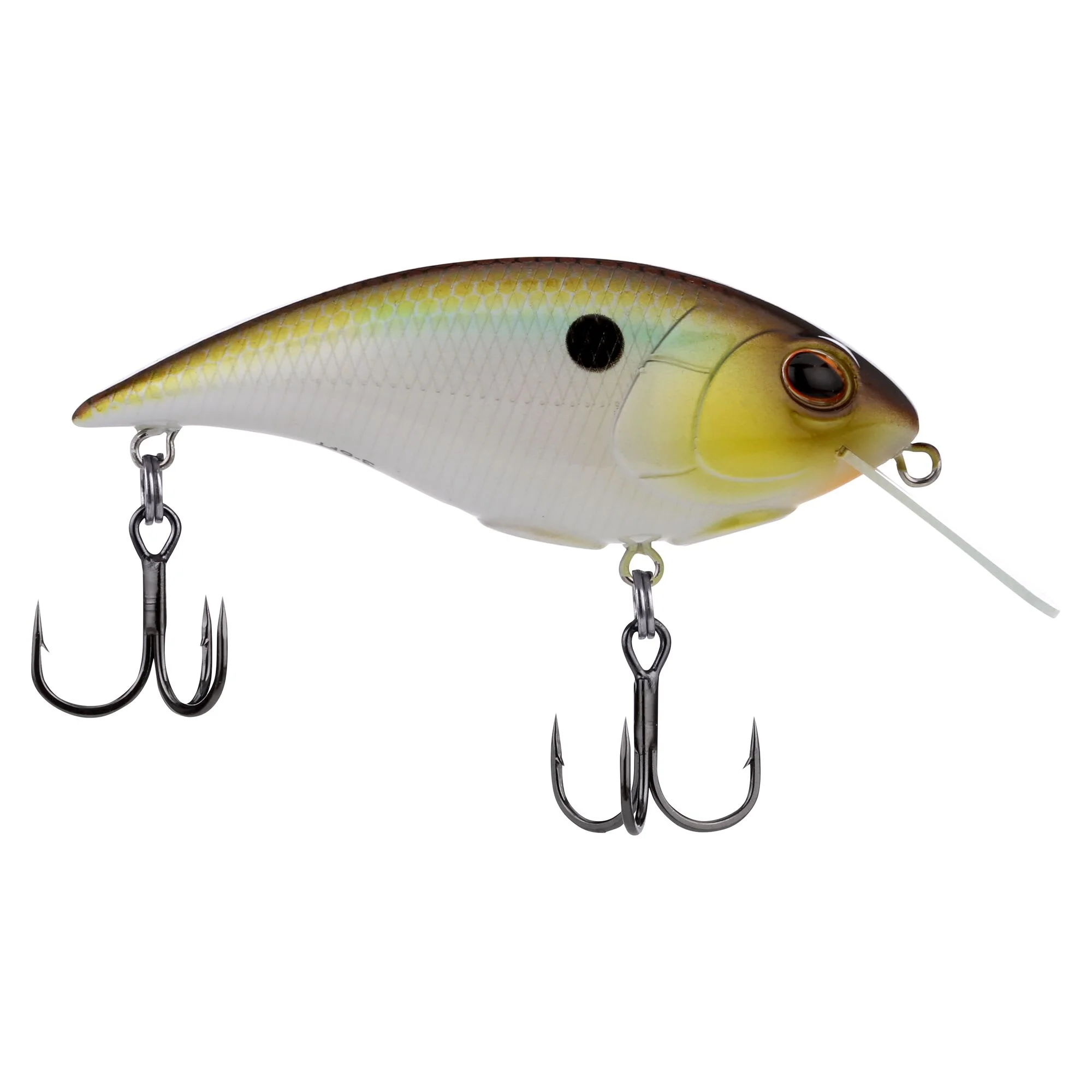 Berkley Shallow Money Badger - Image 174