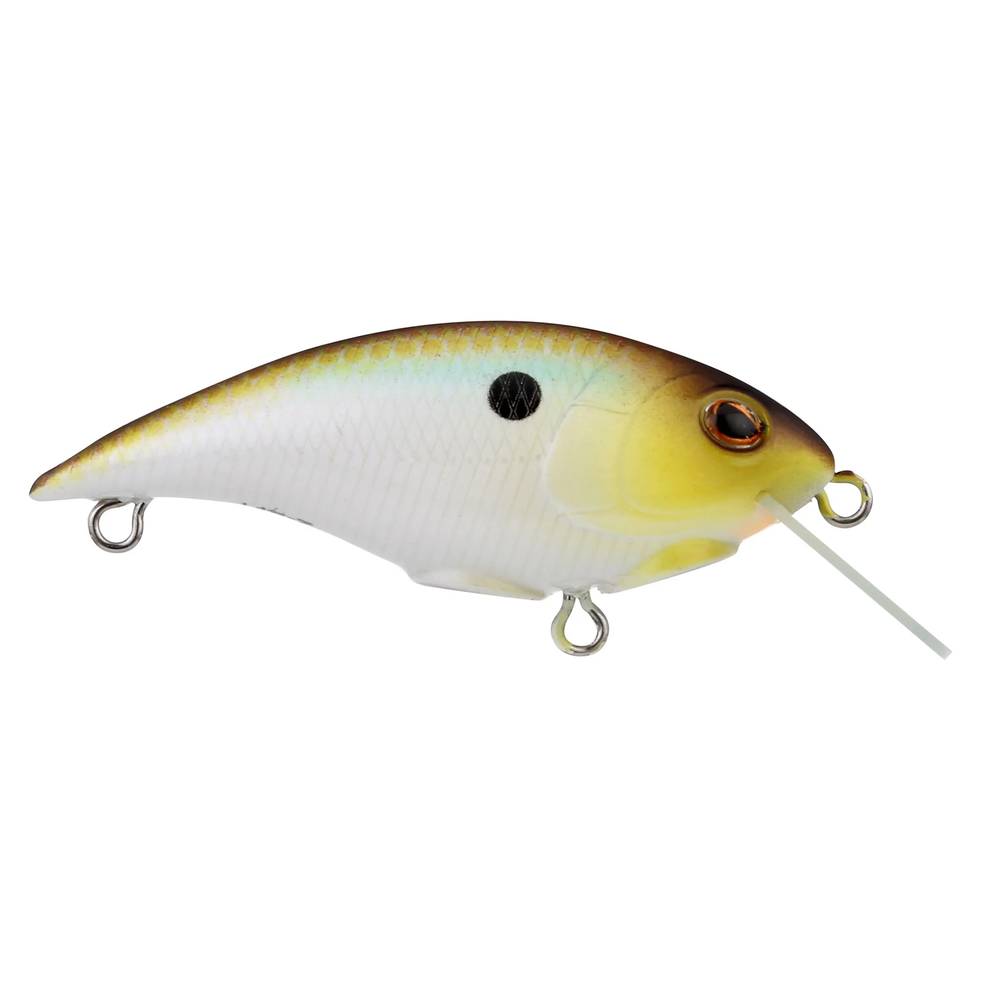 Berkley Shallow Money Badger - Image 20