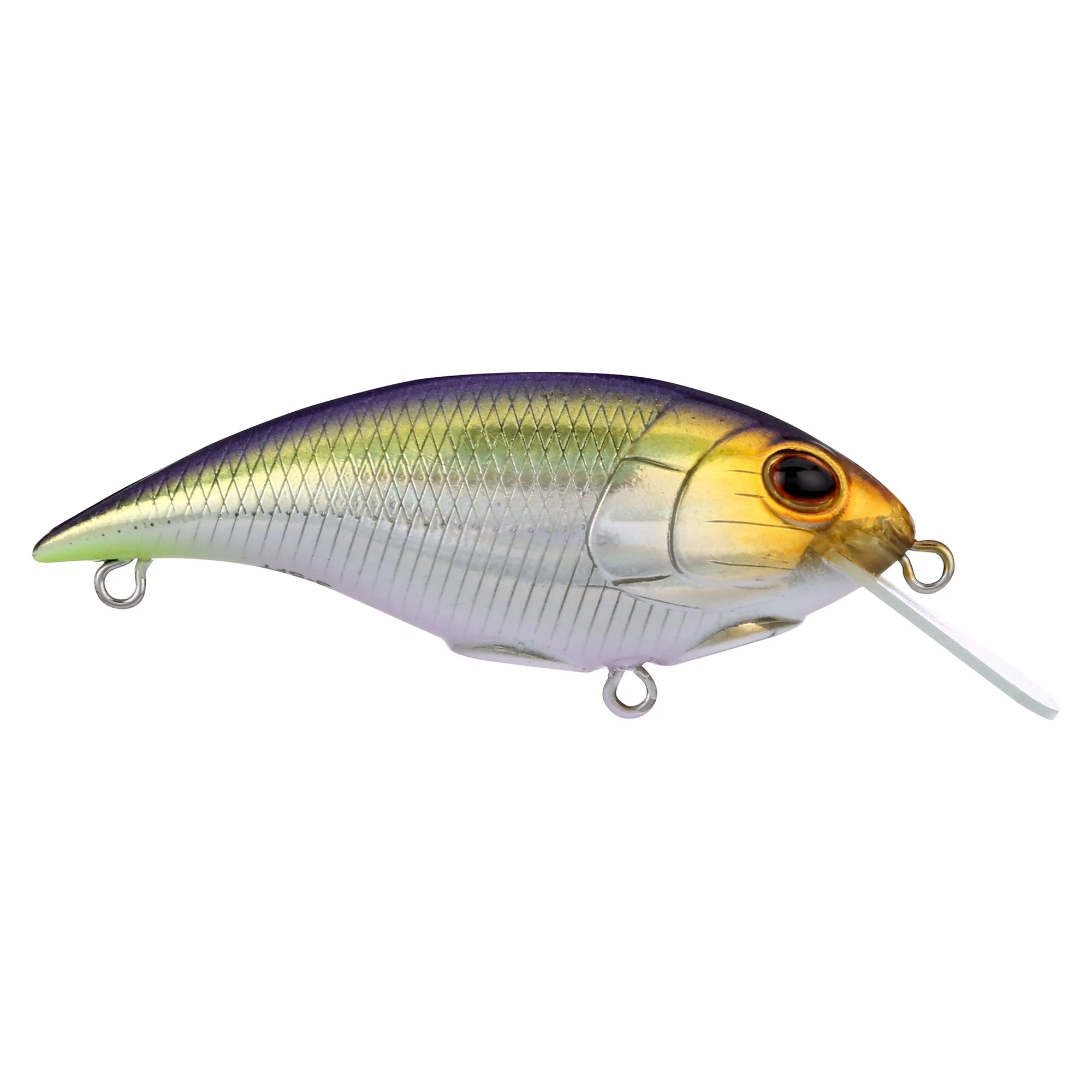 Berkley Shallow Money Badger - Image 36
