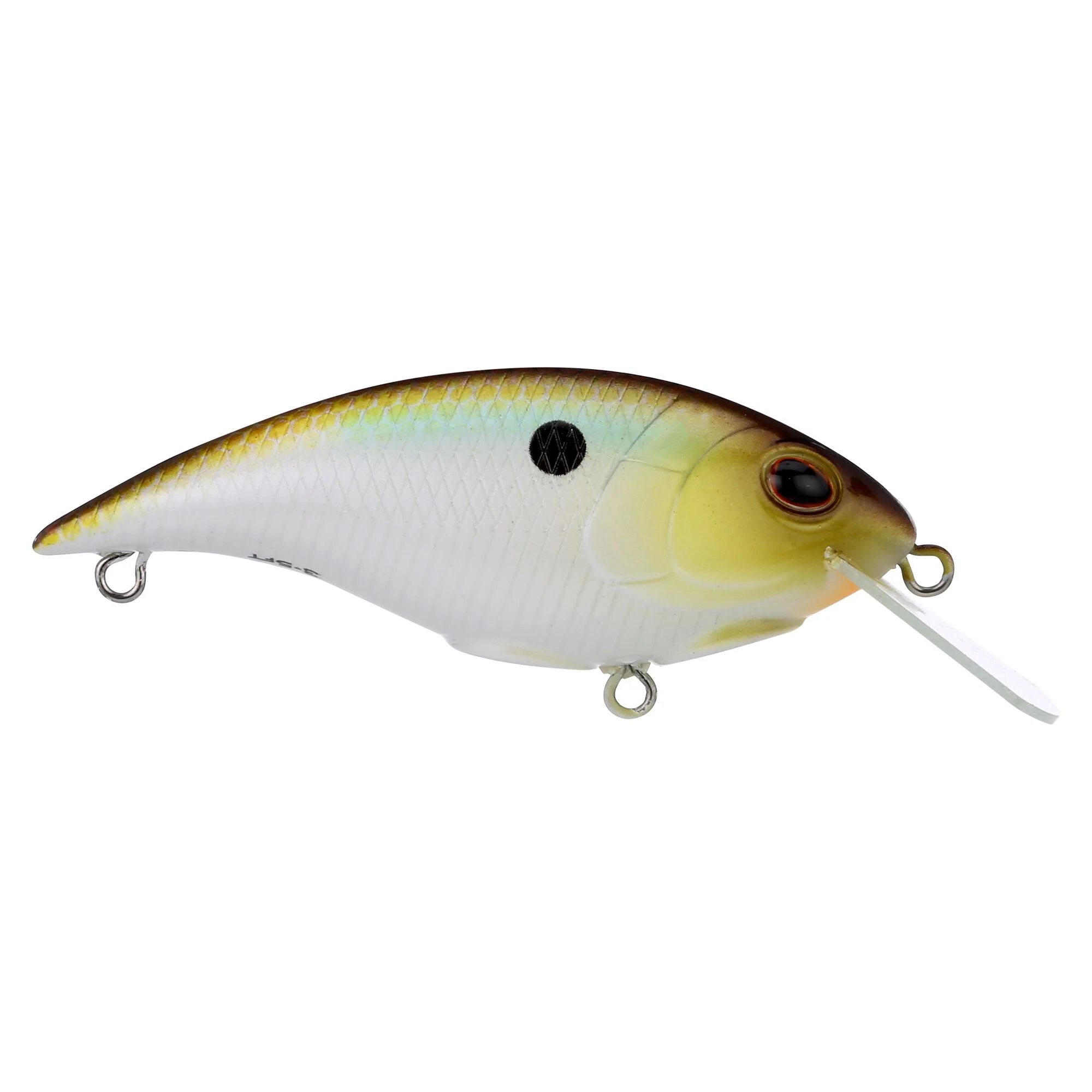 Berkley Shallow Money Badger - Image 42