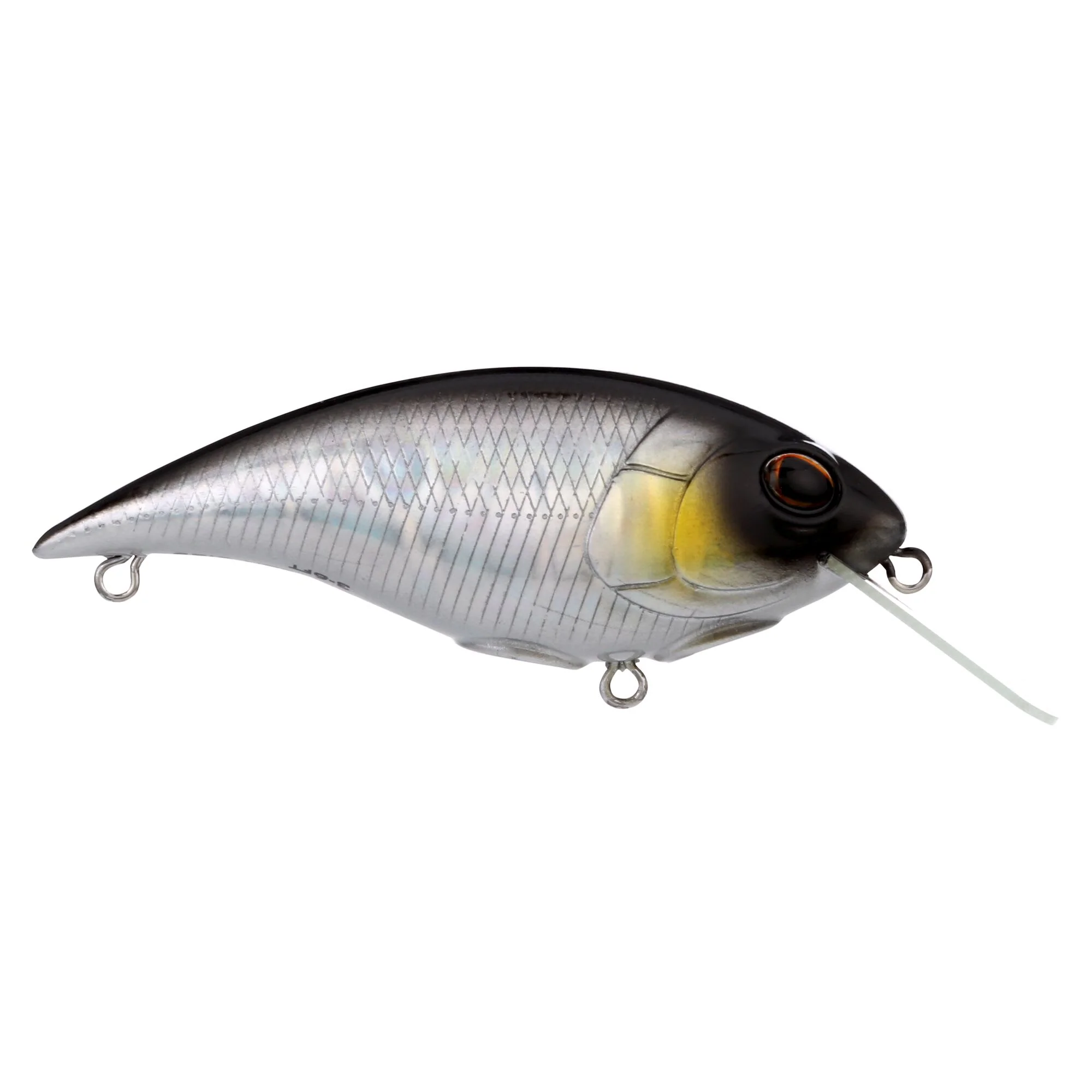 Berkley Shallow Money Badger - Image 46