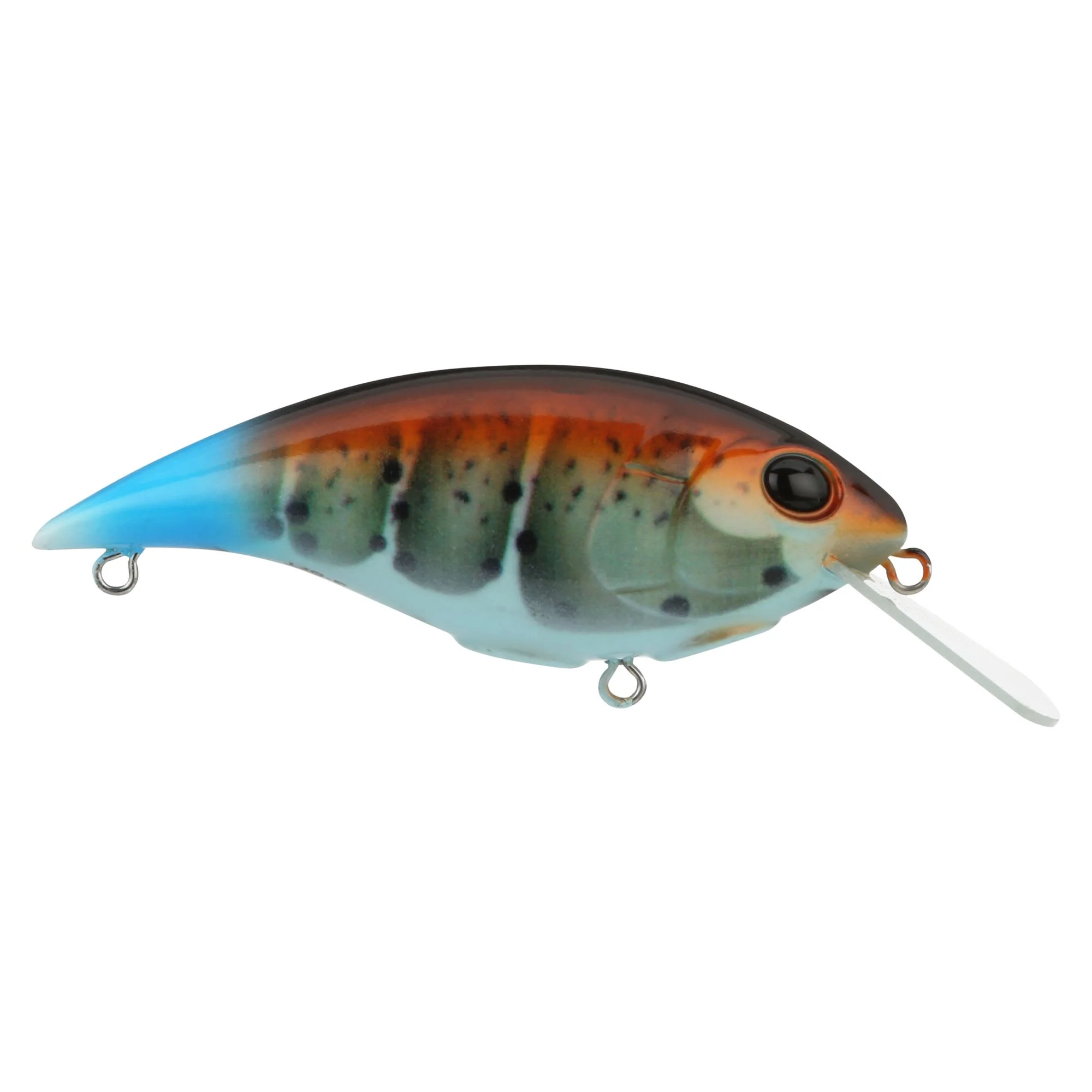 Berkley Shallow Money Badger - Image 56