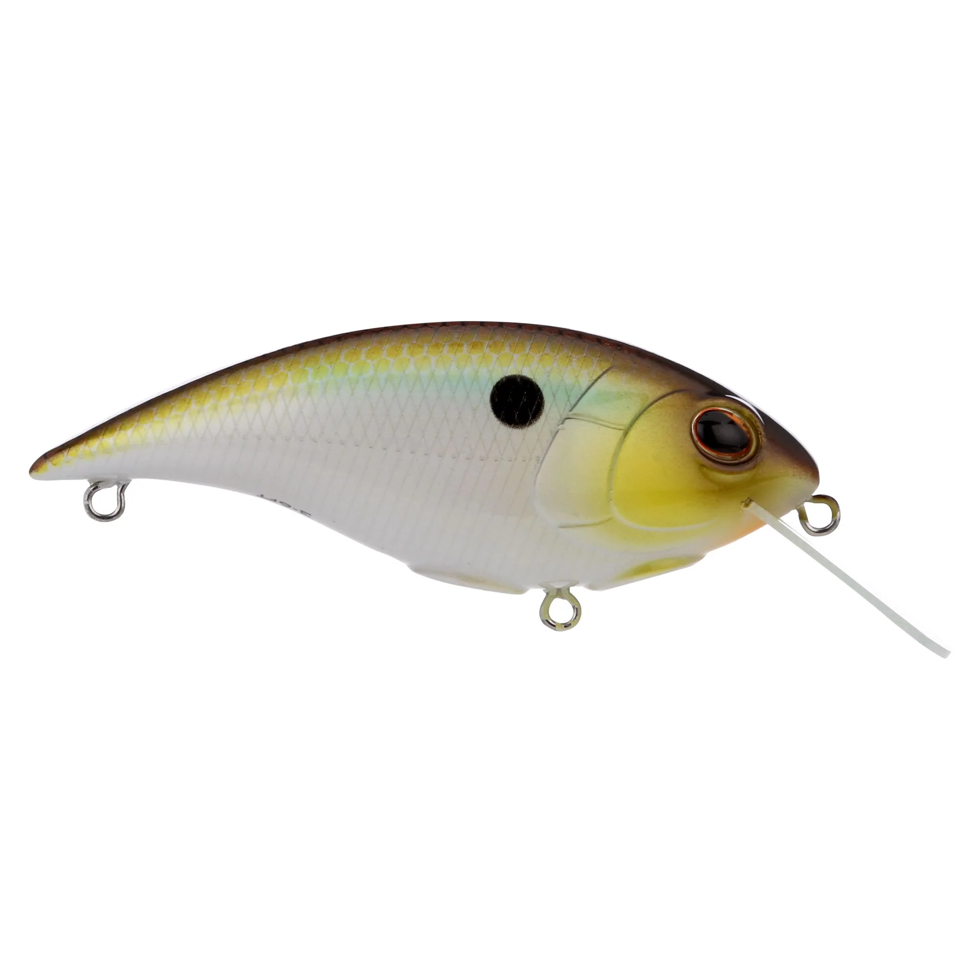Berkley Shallow Money Badger - Image 64