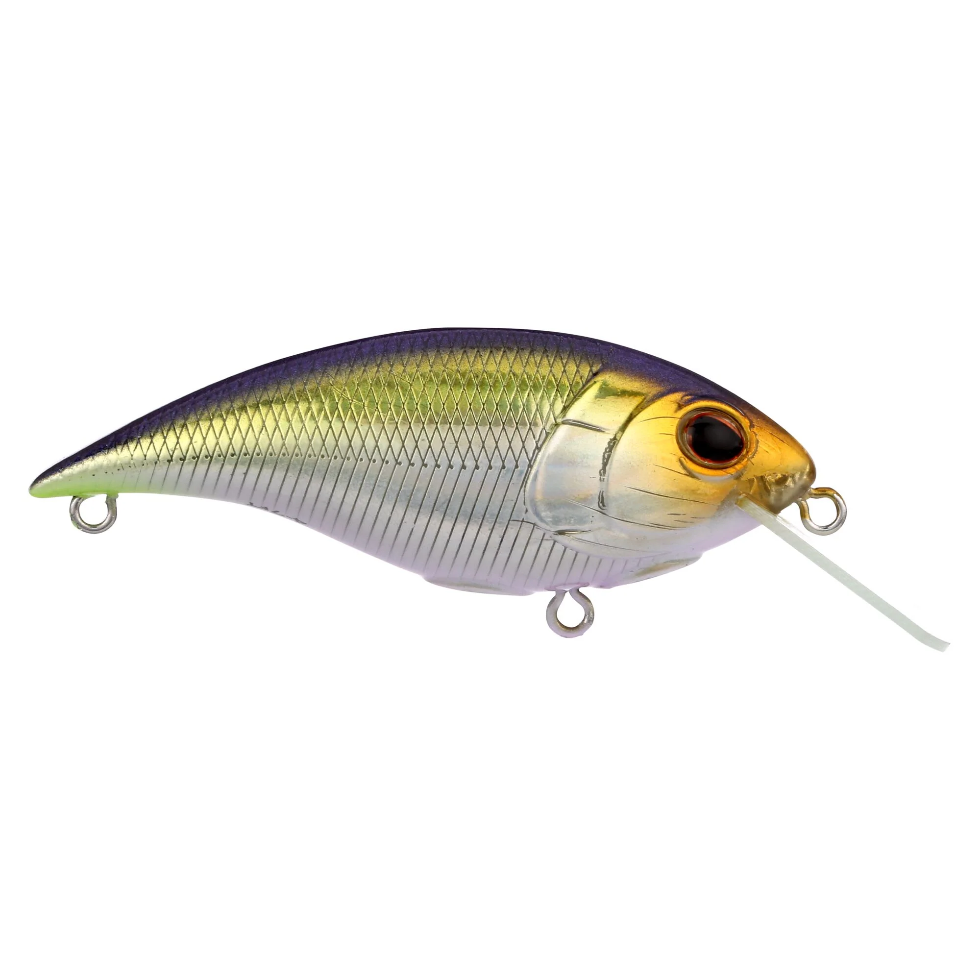 Berkley Shallow Money Badger - Image 80
