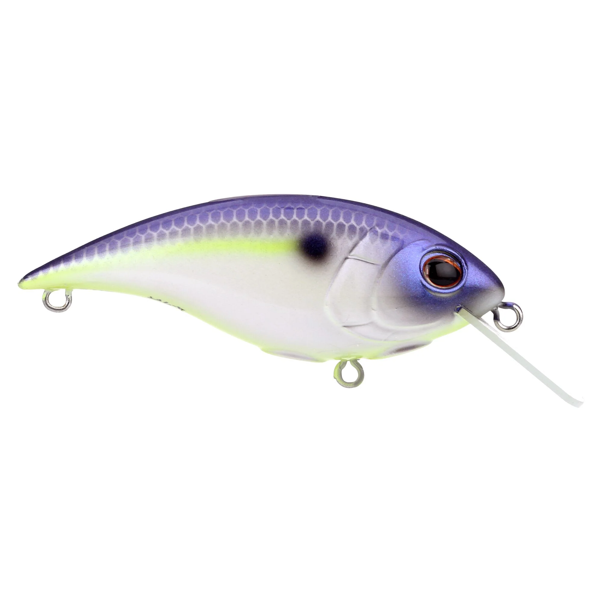 Berkley Shallow Money Badger - Image 83