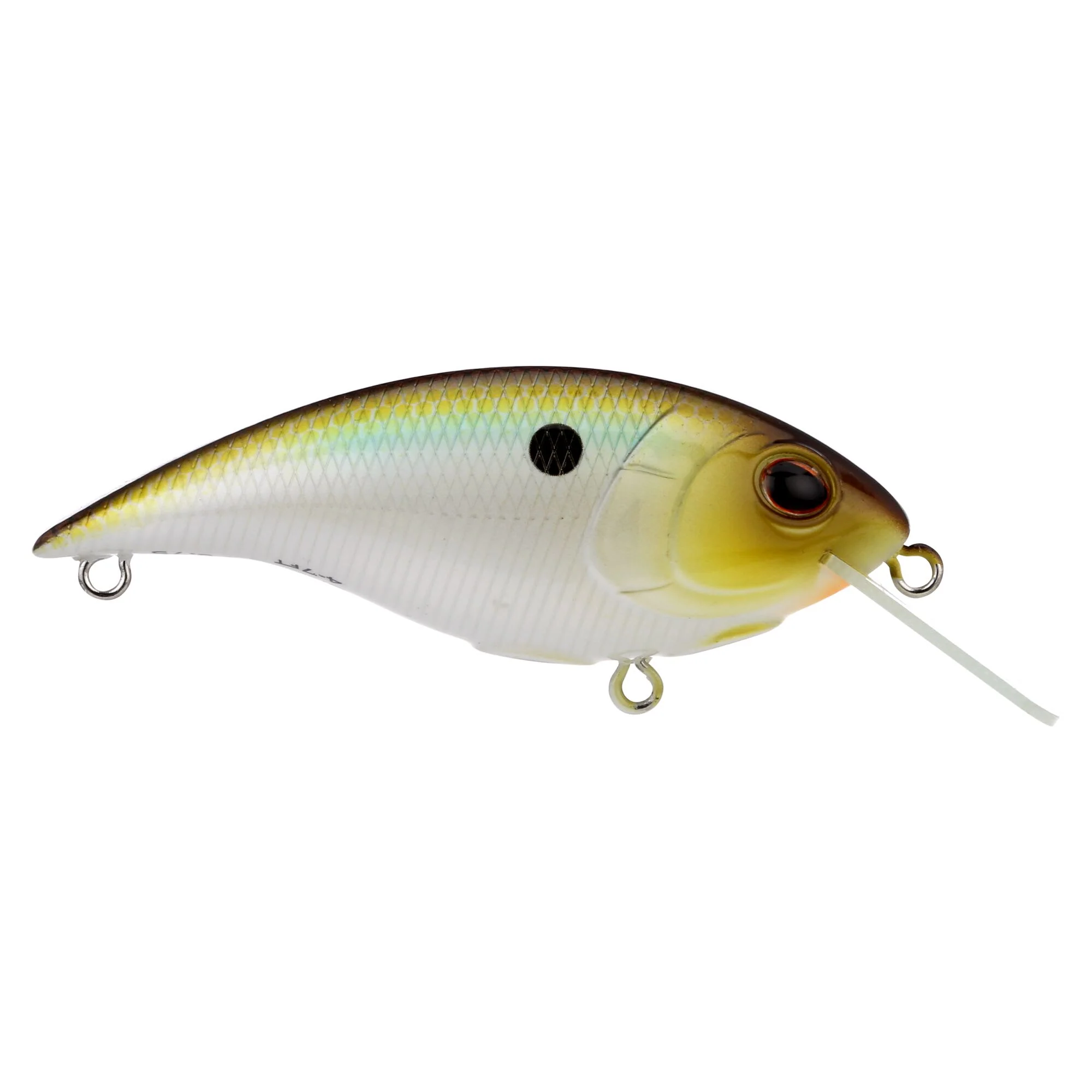 Berkley Shallow Money Badger - Image 86