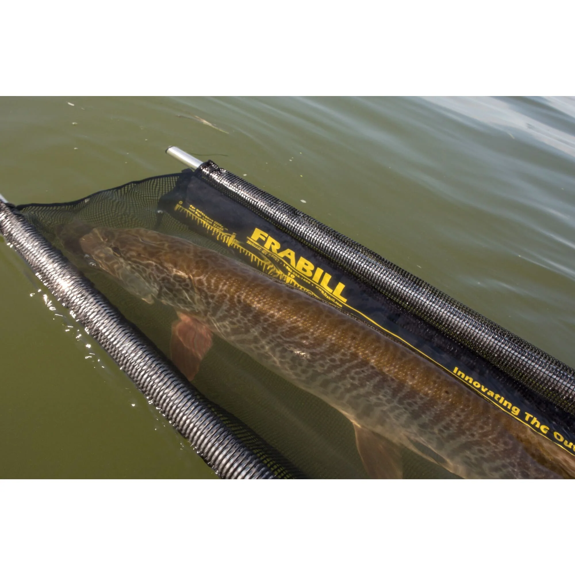Frabill Musky Cradle - Image 2